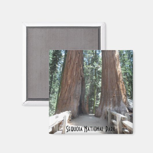 Aimant Parc national de Sequoia (Recto/Verso)
