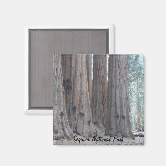 Aimant Parc national de Sequoia (Recto/Verso)