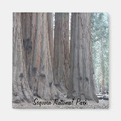Aimant Parc national de Sequoia (Devant)