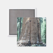 Aimant Parc national de Sequoia (Recto/Verso)