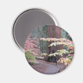 Aimant Parc national de Sequoia (Recto/Verso)