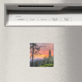 Aimant Parc national de Sequoia, Californie, (In Situ (Lave-vaisselle))