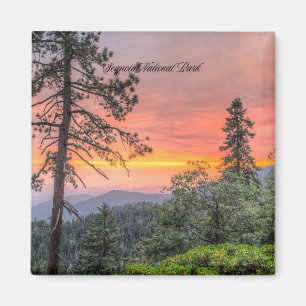 Aimant Parc national de Sequoia, Californie,