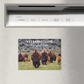 Aimant Parc national de Yellowstone Bison Buffalo (In Situ (Lave-vaisselle))
