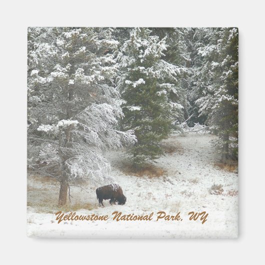 Aimant Parc national de Yellowstone, WY (Devant)