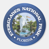 Parc national des Everglades (egret)