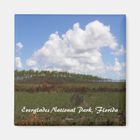 Aimant Parc national des Everglades, Floride (Devant)