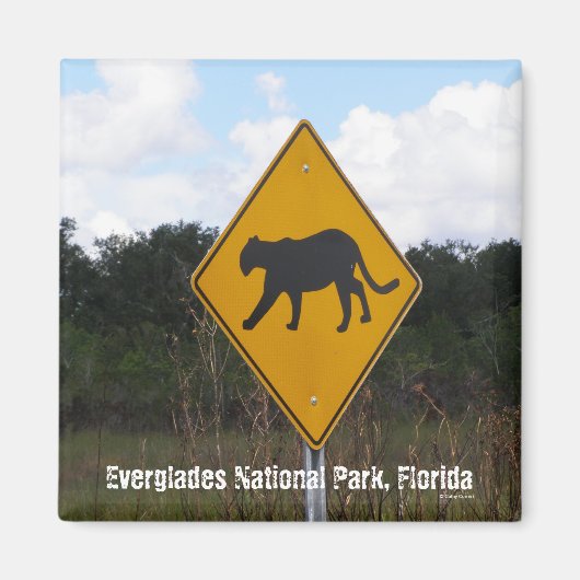 Aimant Parc national des Everglades, Floride (Devant)