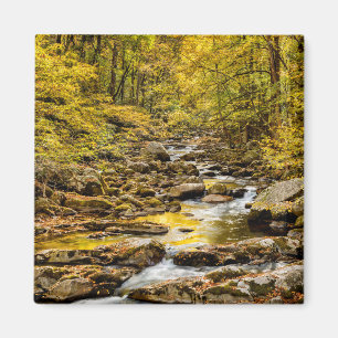 Aimant Parc national des Great Smoky Mountains. Big Creek
