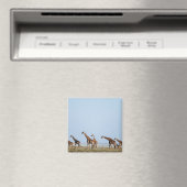 Aimant Parc national d'Etosha, Namibie 2 (In Situ (Lave-vaisselle))
