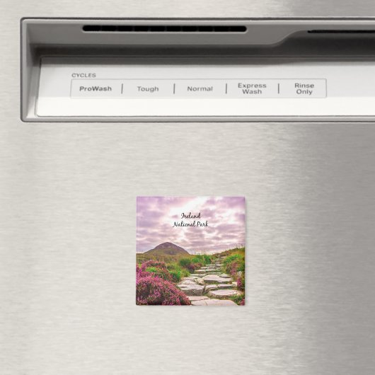 Aimant Parc national d'Irlande (In Situ (Lave-vaisselle))