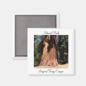 Aimant Parc national du canyon de Sequoia Kings (Recto/Verso)
