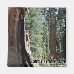 Aimant Parc national du général Sherman Tree-Sequoia