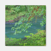 Aimant Parc national olympique Washington State (Devant)