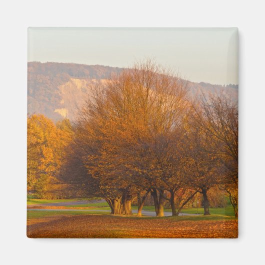 Aimant Parc Rheinaue (Devant)