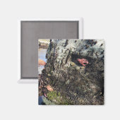 Aimant Parc Rock State de Sisters (Recto/Verso)