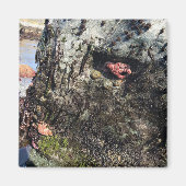 Aimant Parc Rock State de Sisters (Devant)