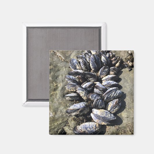 Aimant Parc Rock State de Sisters (Recto/Verso)