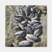 Aimant Parc Rock State de Sisters (Devant)