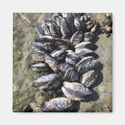 Aimant Parc Rock State de Sisters (Devant)