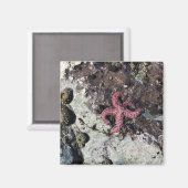 Aimant Parc Rock State de Sisters (Recto/Verso)