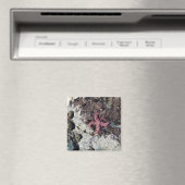 Aimant Parc Rock State de Sisters (In Situ (Lave-vaisselle))