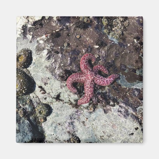 Aimant Parc Rock State de Sisters (Devant)