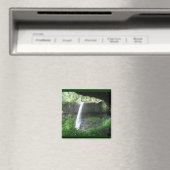 Aimant Parc Silver Falls (In Situ (Lave-vaisselle))