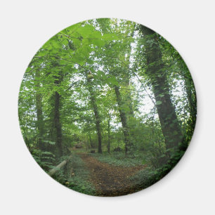 Aimant Parcours à travers l'aimant de la forêt verte