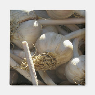 Aimant Parfumé délicieux en forme crue