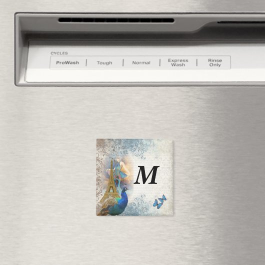 Aimant Paris peacock collage (In Situ (Lave-vaisselle))