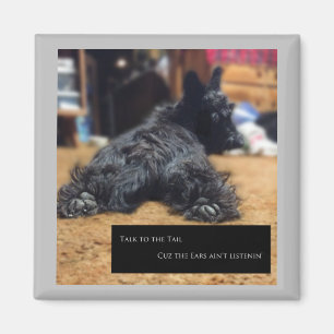 Aimant Parlez à la Queue