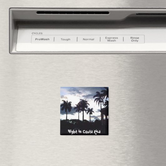 Aimant Parque Central en soirée (In Situ (Lave-vaisselle))