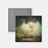 Aimant Partagez avec kitty ? (Recto/Verso)