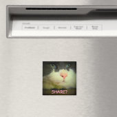 Aimant Partagez avec kitty ? (In Situ (Lave-vaisselle))