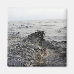 Aimant Partie d'une nappe de pétrole dans le golfe du Mex