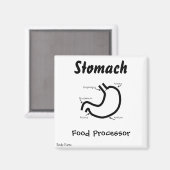 Aimant Parties du corps — Estomac humain (Recto/Verso)