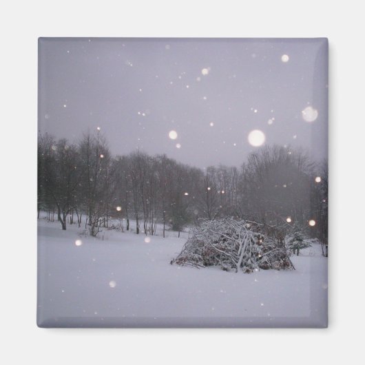 Aimant Parties scintillant Icy (Devant)