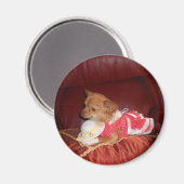 aimant party chi (Recto/Verso)