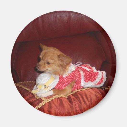 aimant party chi (Devant)