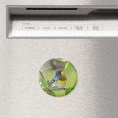 Aimant Parula nordique (In Situ (Lave-vaisselle))
