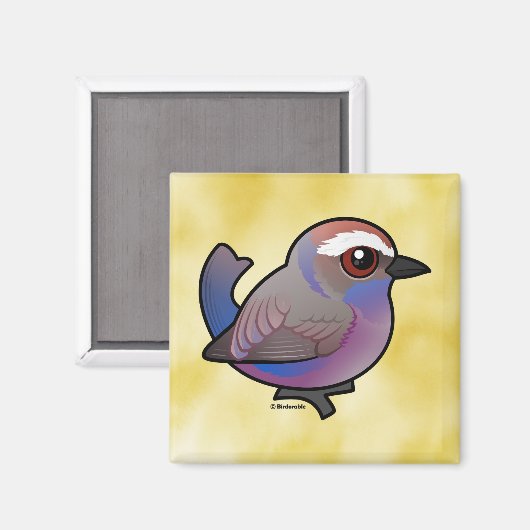 Aimant Paruline à bec blanche Birdorable (Recto/Verso)