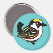 Aimant Paruline à châtaignes (Recto/Verso)