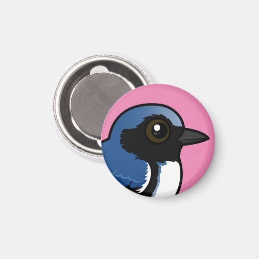 Aimant Paruline bleue à gorge noire (Recto/Verso)