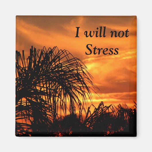Aimant Pas d'aimant Stress_ (Devant)