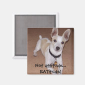 Aimant Pas d'attitude... RATitude ! (Recto/Verso)