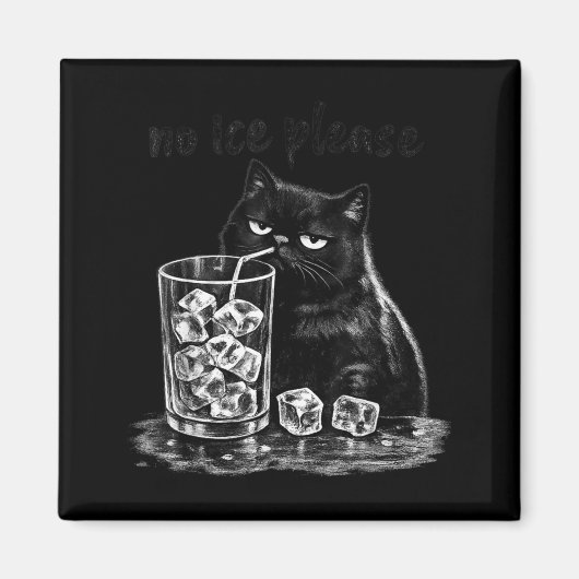 Aimant Pas de glace s'il vous plaît drôle mème de chat vi (Devant)