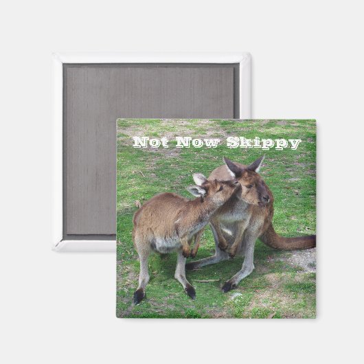 Aimant Pas maintenant Skippy (Recto/Verso)