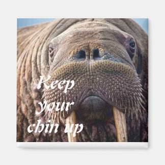 Aimant Pas obtenir une carte de sympathie bien : Hôpital 