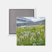 Aimant Pasqueflower occidental | Monts East Kootenay (Recto/Verso)